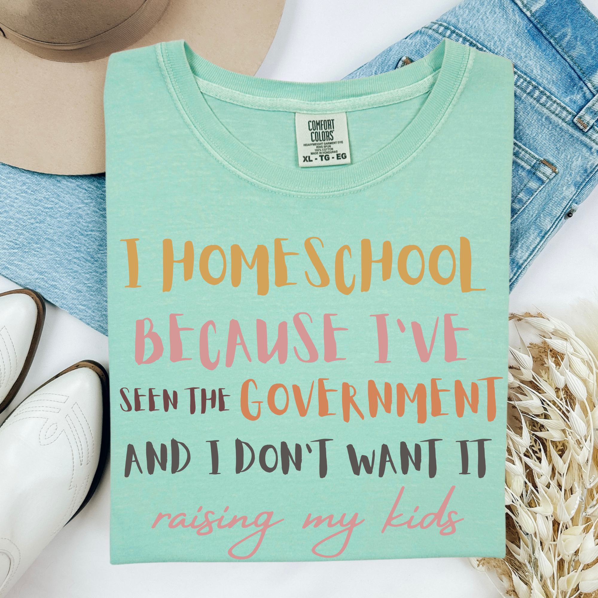 Homeschool because I've seen the Government l  100% Cotton Tshirt | Teacher Shirt | Stylish Trendy Apparel